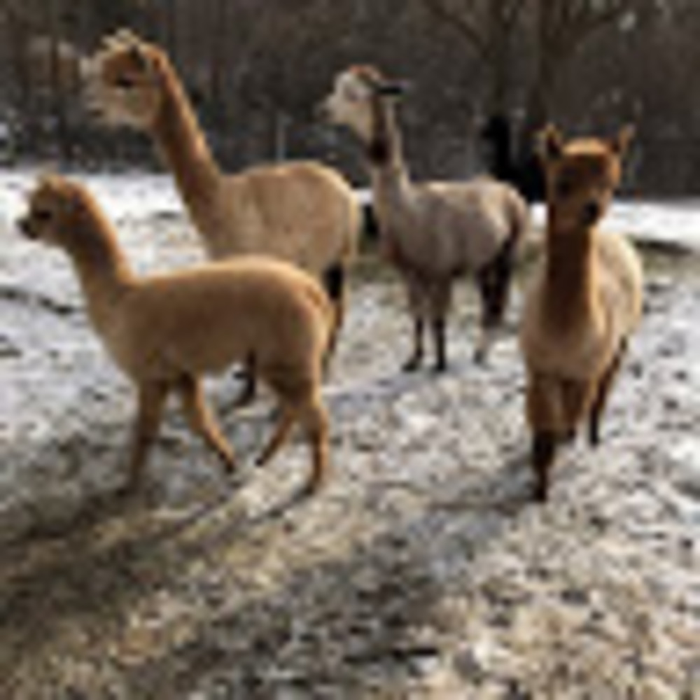 Meet your Posher, Leanna